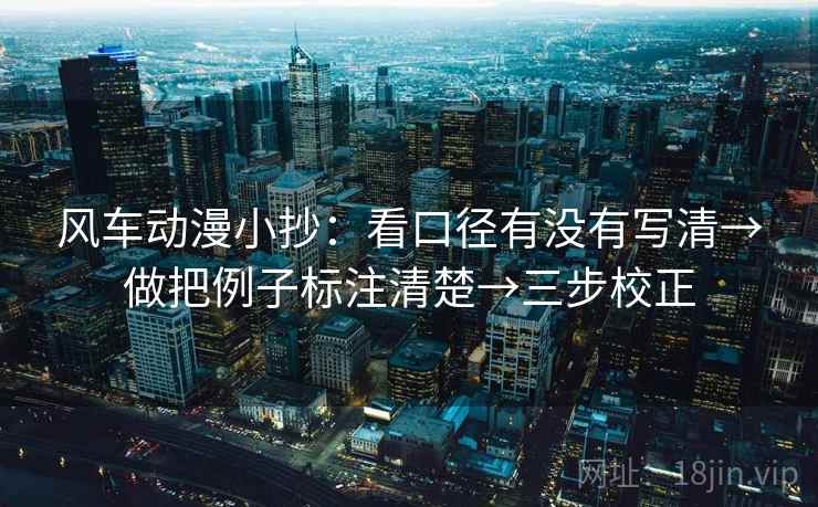 风车动漫小抄：看口径有没有写清→做把例子标注清楚→三步校正