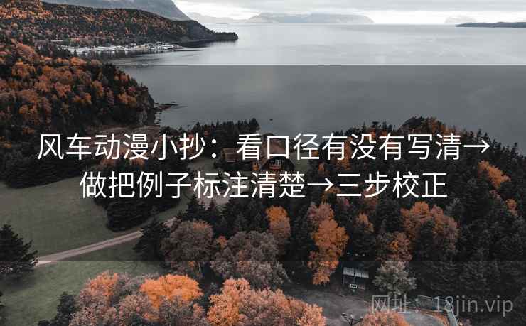 风车动漫小抄：看口径有没有写清→做把例子标注清楚→三步校正  第2张